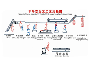 羊屠宰工藝流程